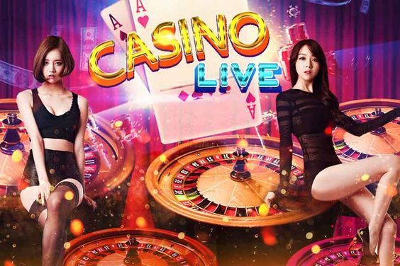 Nova Patti Live Casino